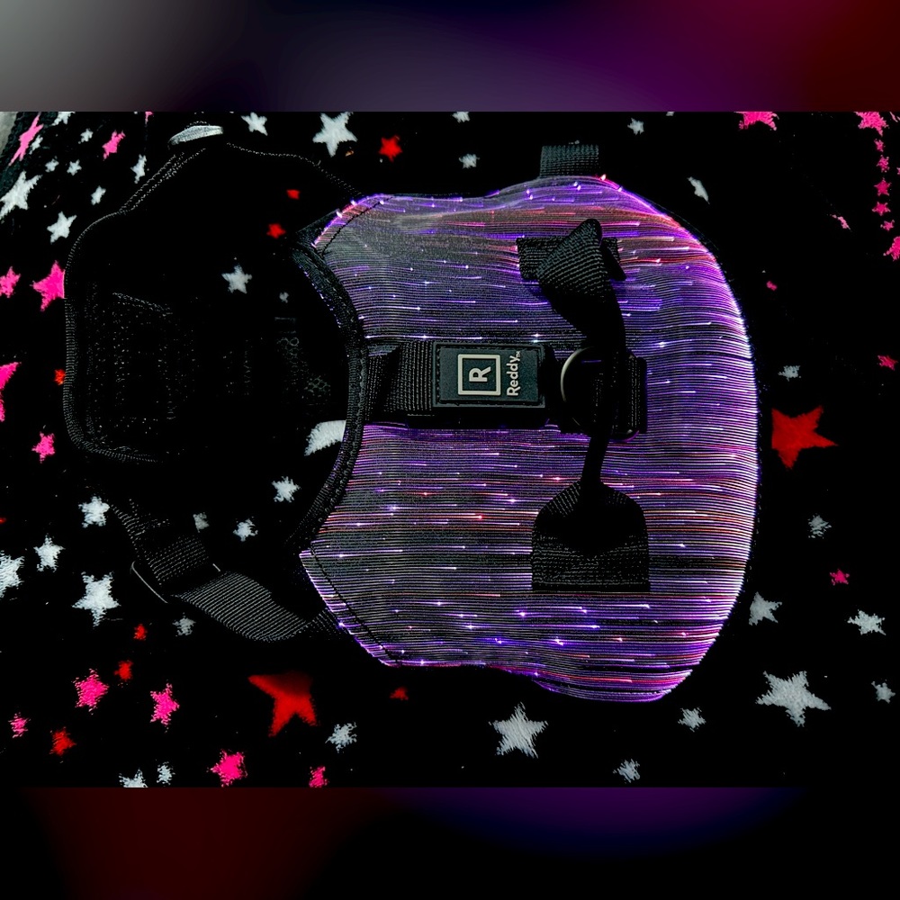 Rechargeable Fiber Optic Harness from Reddy